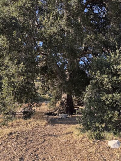 Deukmejian Wilderness Park - Glendale, CA