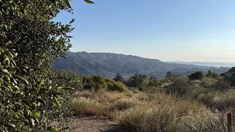 Deukmejian Wilderness Park - Glendale, CA