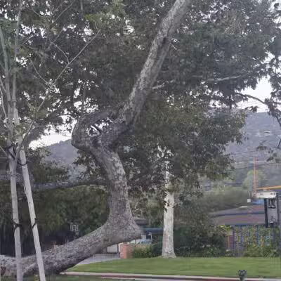 Verdugo Park - Glendale, CA