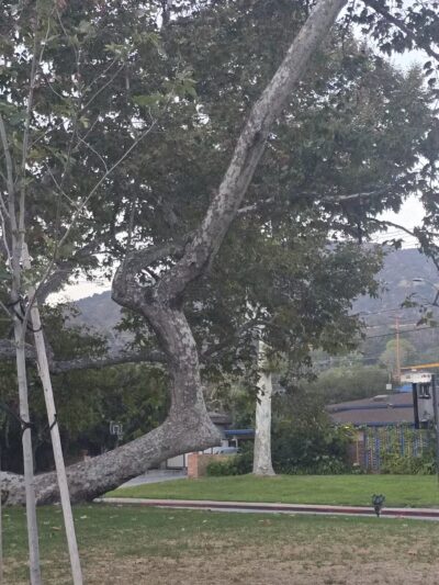Verdugo Park - Glendale, CA