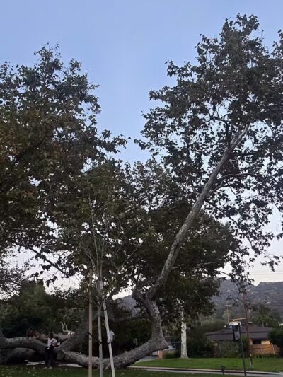 Verdugo Park - Glendale, CA