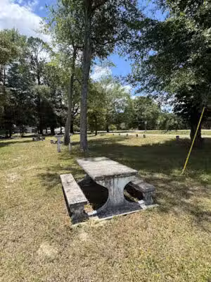 Roadside Park - Glenwood, GA