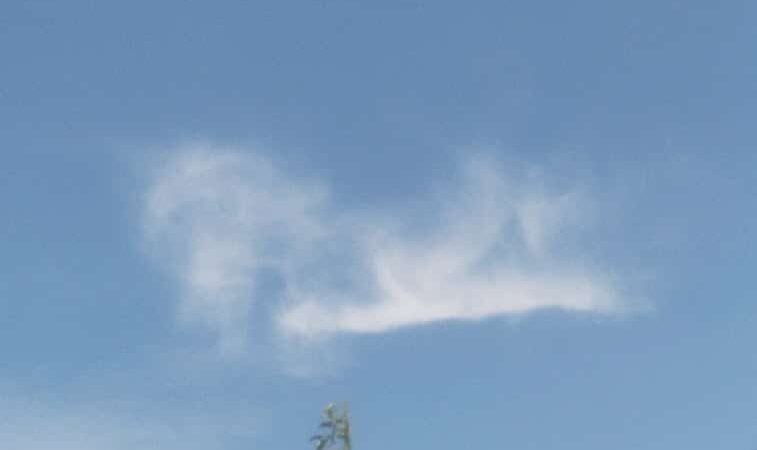 Glenwood Park - Glenwood, MO