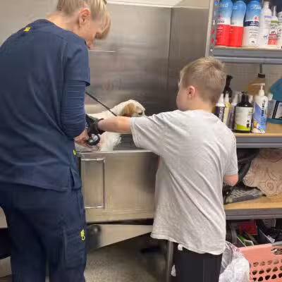 Gloucester-Mathews Humane Society - Gloucester, VA