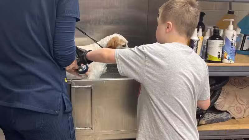 Gloucester-Mathews Humane Society - Gloucester, VA