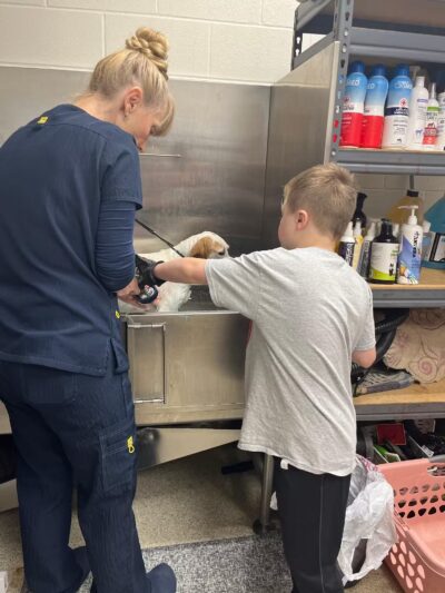 Gloucester-Mathews Humane Society - Gloucester, VA