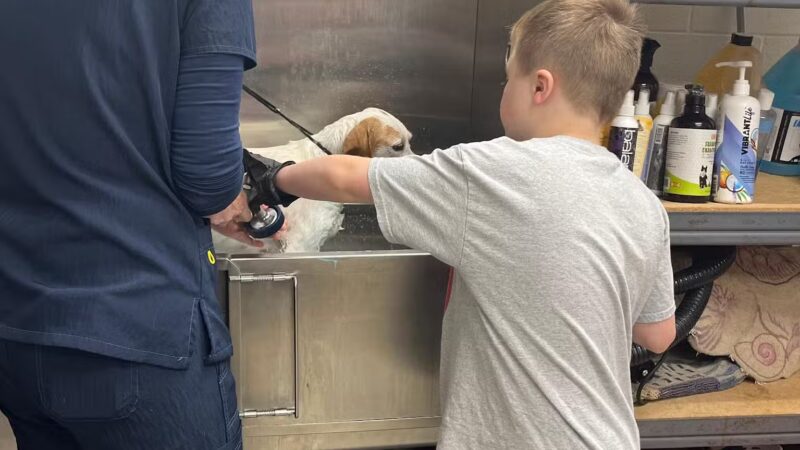 Gloucester-Mathews Humane Society - Gloucester, VA