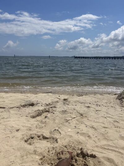 Gloucester Point Beach Park - Gloucester Point, VA