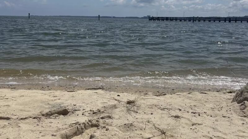 Gloucester Point Beach Park - Gloucester Point, VA