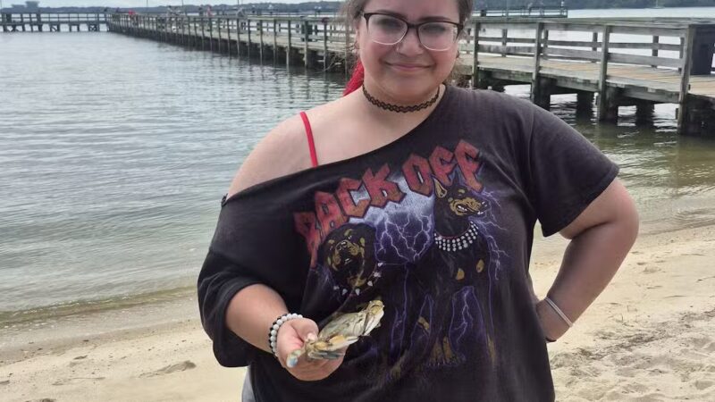 Gloucester Point Beach Park - Gloucester Point, VA