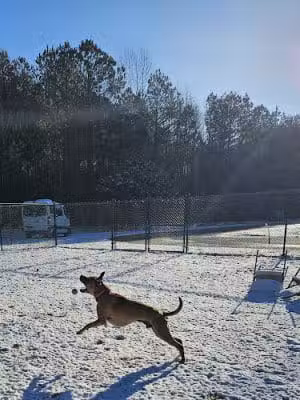 Gloucester-Mathews Humane Society - Gloucester, VA