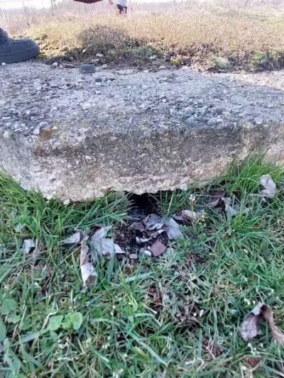 Kal-Haven Trail - Gobles,