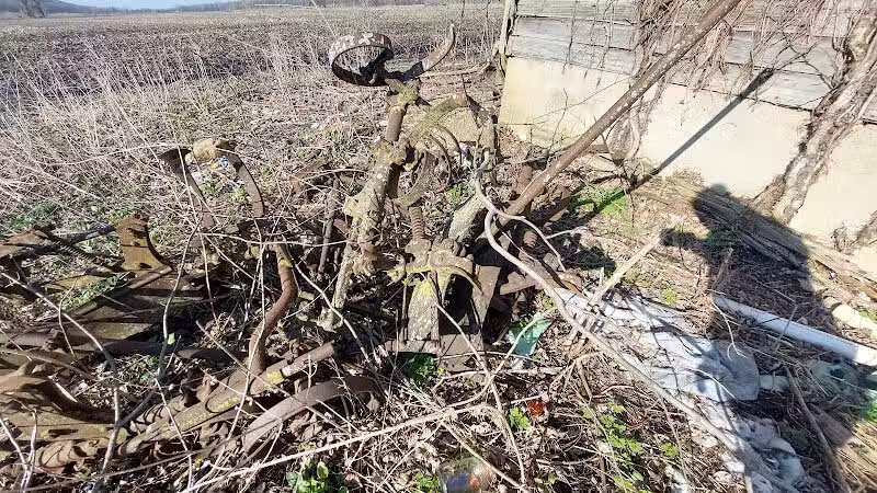 Kal-Haven Trail - Gobles,