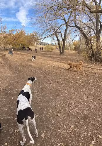 Dog Park, off-leash at Ulysses Park - Golden, CO