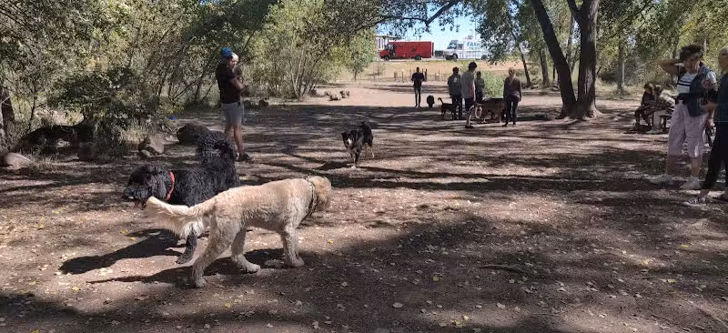 Tony Grampsas Dog Park - Golden, CO