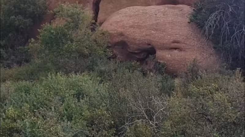 Trading Post Trail - Golden, CO
