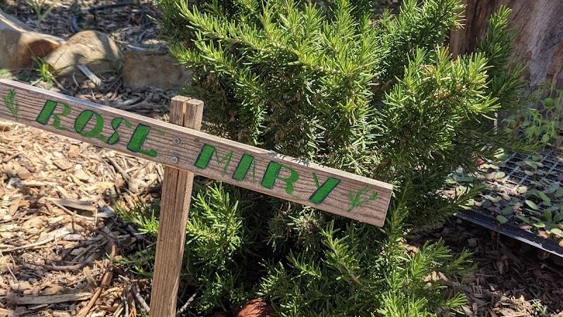 Estero Park - Goleta, CA