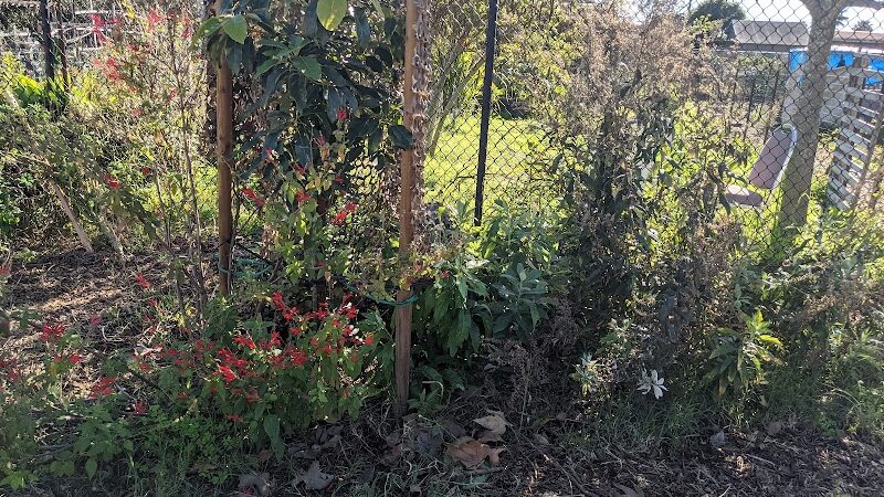 Estero Park - Goleta, CA