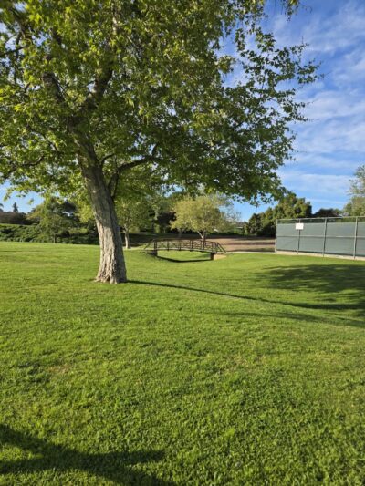 Evergreen Park - Goleta, CA