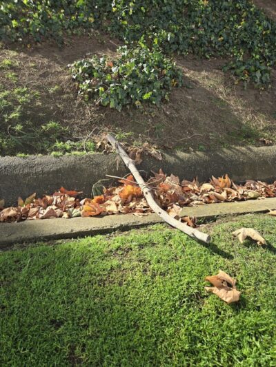 Evergreen Park - Goleta, CA