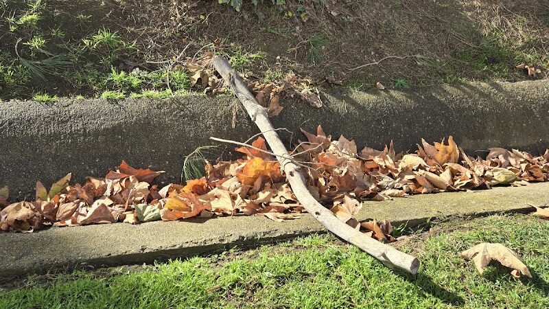 Evergreen Park - Goleta, CA