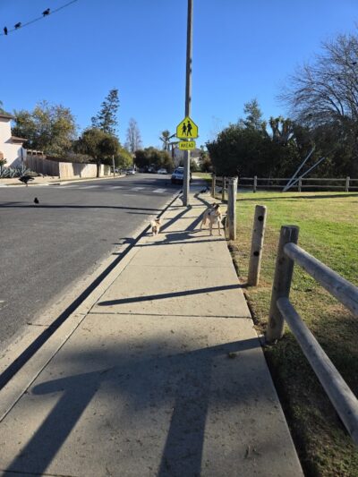 Evergreen Park - Goleta, CA