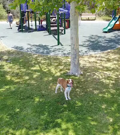 Evergreen Park - Goleta, CA