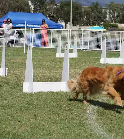 Girsh Park - Goleta, CA