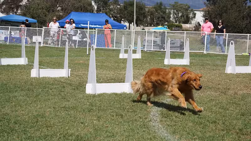 Girsh Park - Goleta, CA