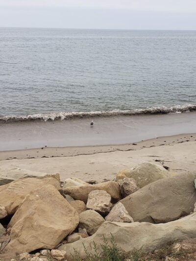 Goleta Beach Park - Goleta, CA