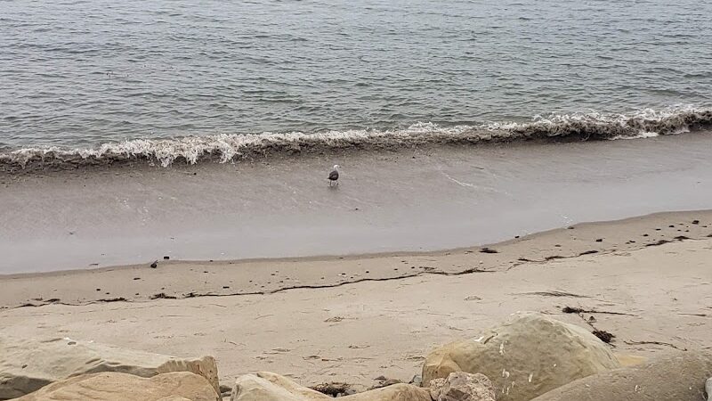 Goleta Beach Park - Goleta, CA