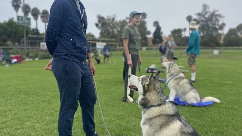 Goleta Valley Dog Club - Goleta, CA