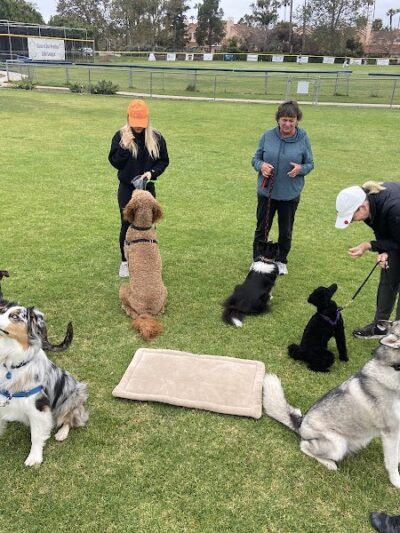 Goleta Valley Dog Club - Goleta, CA