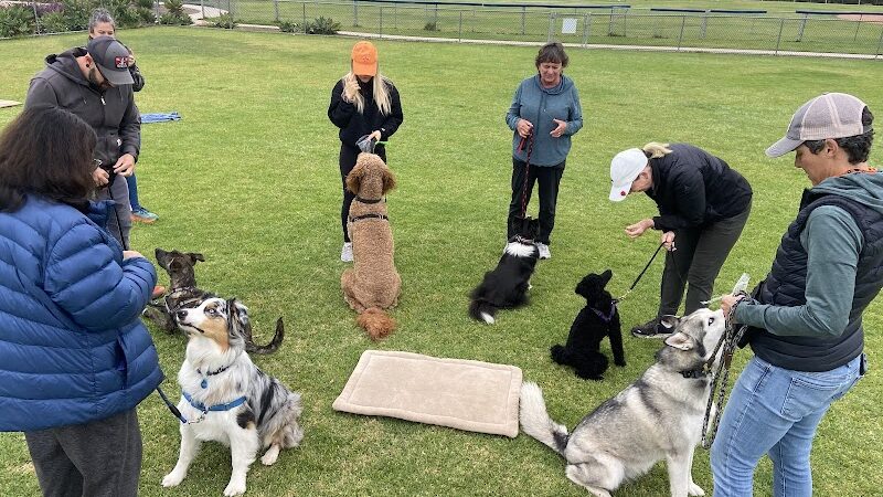 Goleta Valley Dog Club - Goleta, CA