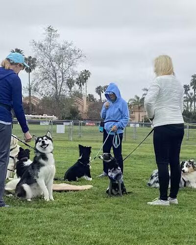 Goleta Valley Dog Club - Goleta, CA