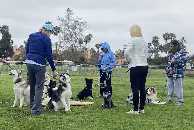 Goleta Valley Dog Club - Goleta, CA