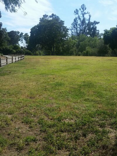 Lassen Open Space - Goleta, CA