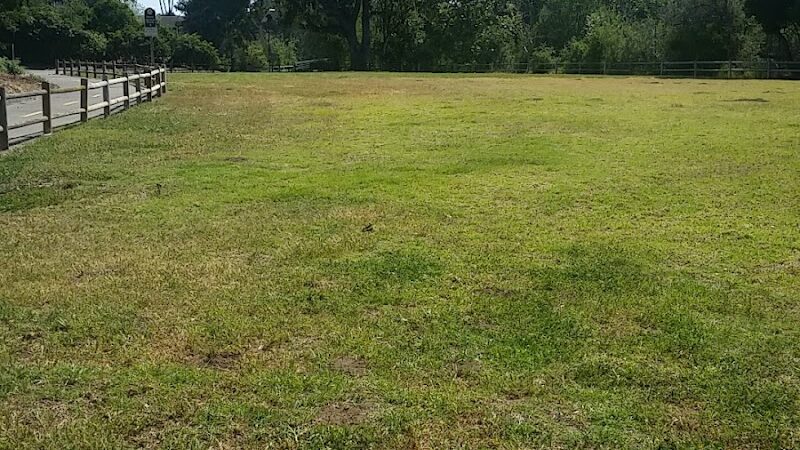 Lassen Open Space - Goleta, CA