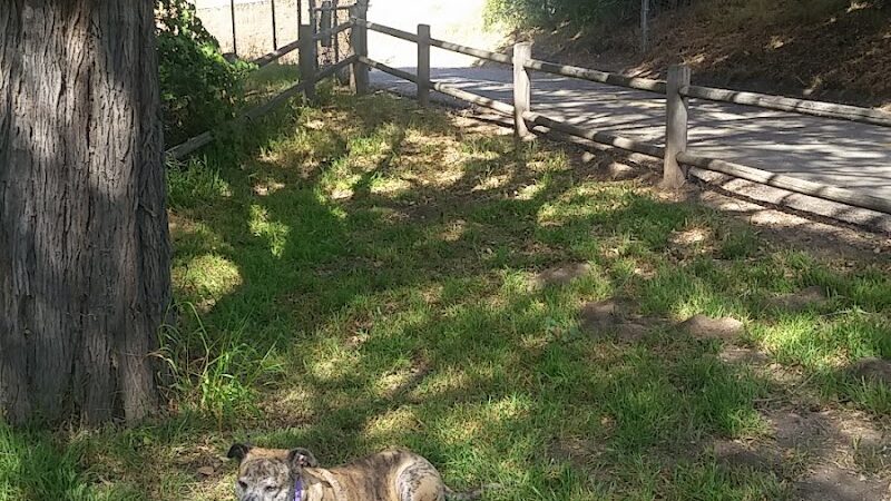 Lassen Open Space - Goleta, CA
