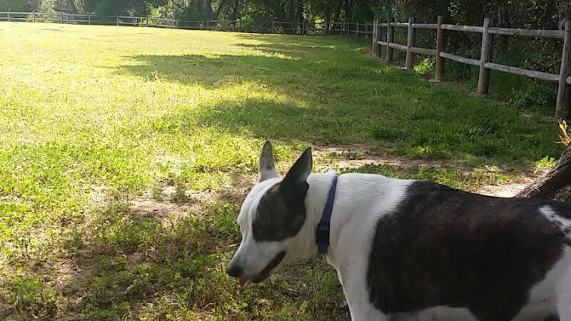 Lassen Open Space - Goleta, CA