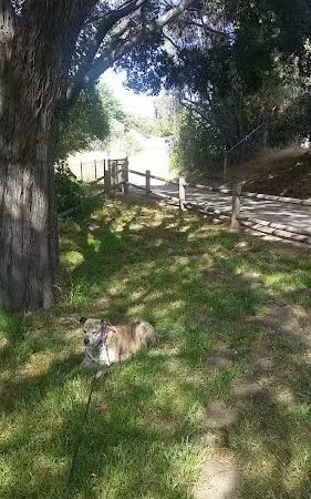 Lassen Open Space - Goleta, CA