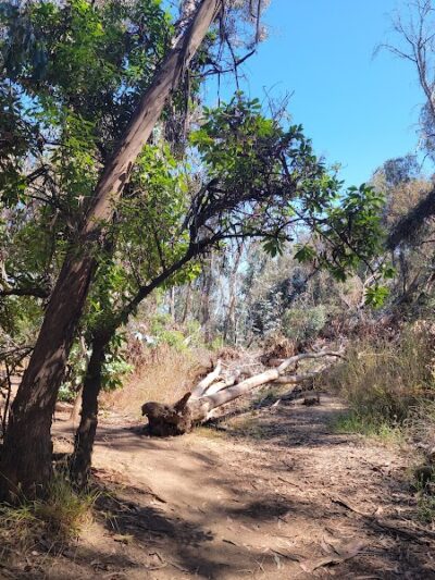 Santa Barbara Shores Park - Goleta, CA