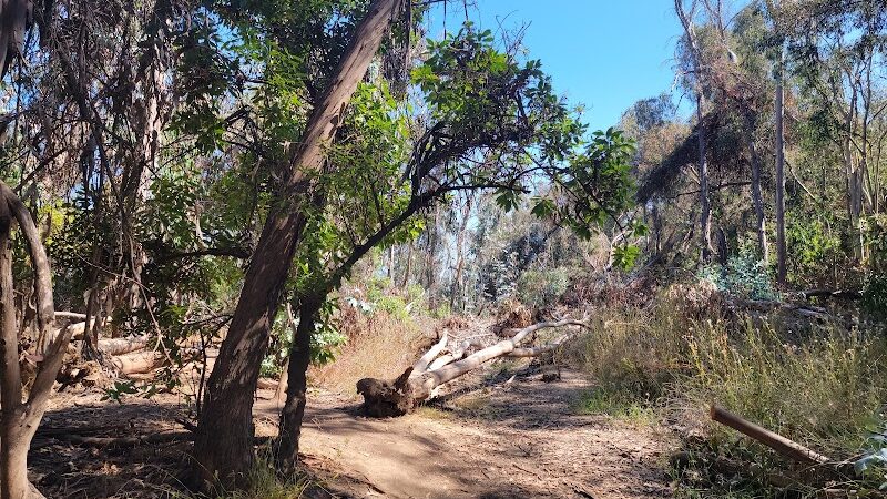 Santa Barbara Shores Park - Goleta, CA