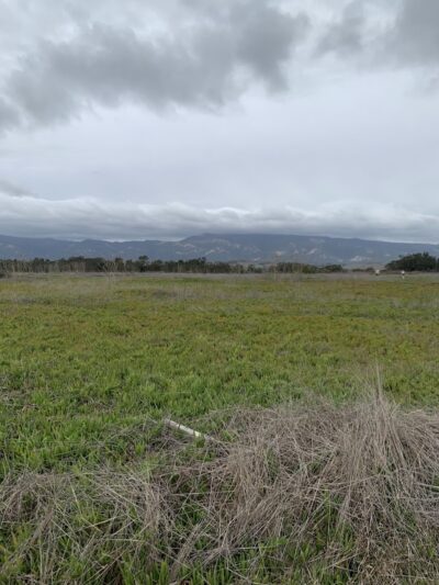 Santa Barbara Shores Park - Goleta, CA