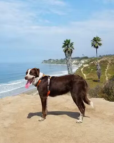 Santa Barbara Shores Park - Goleta, CA