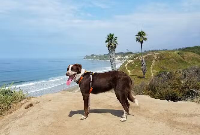 Santa Barbara Shores Park - Goleta, CA