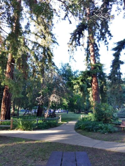 Stow Grove Park - Goleta, CA