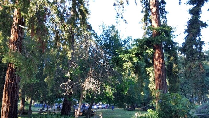 Stow Grove Park - Goleta, CA