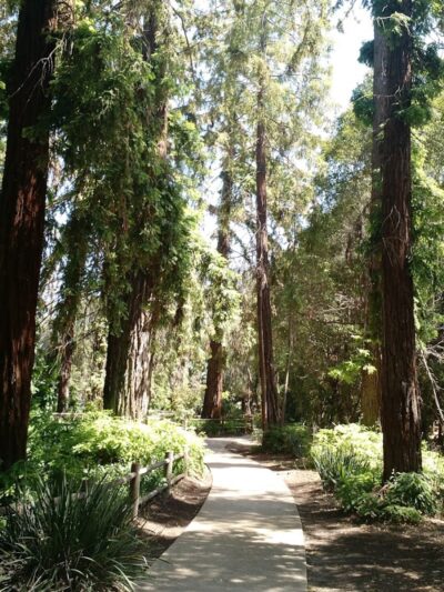 Stow Grove Park - Goleta, CA