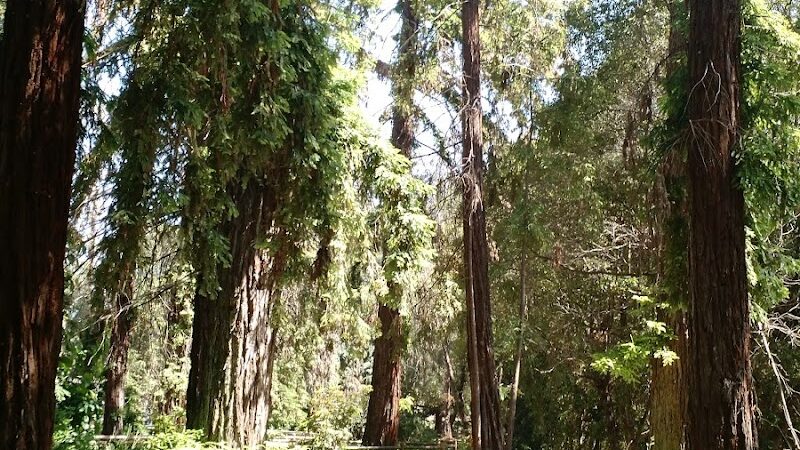 Stow Grove Park - Goleta, CA